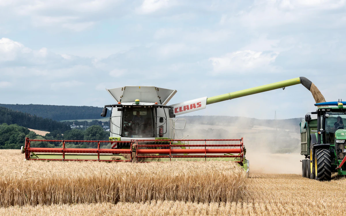 A combine harvester harvests wheat and unloads the grain into a trailer behind a tractor