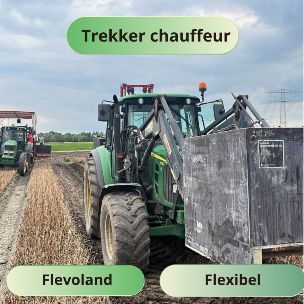 Trekkerchauffeur Bloembollen Rooien (Juni – Juli)