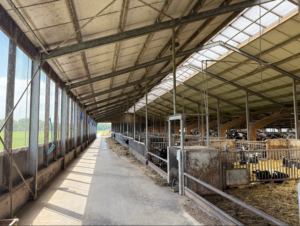 Dairy Visser B.V. foto 1