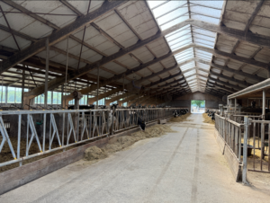 Dairy Visser B.V. foto 2